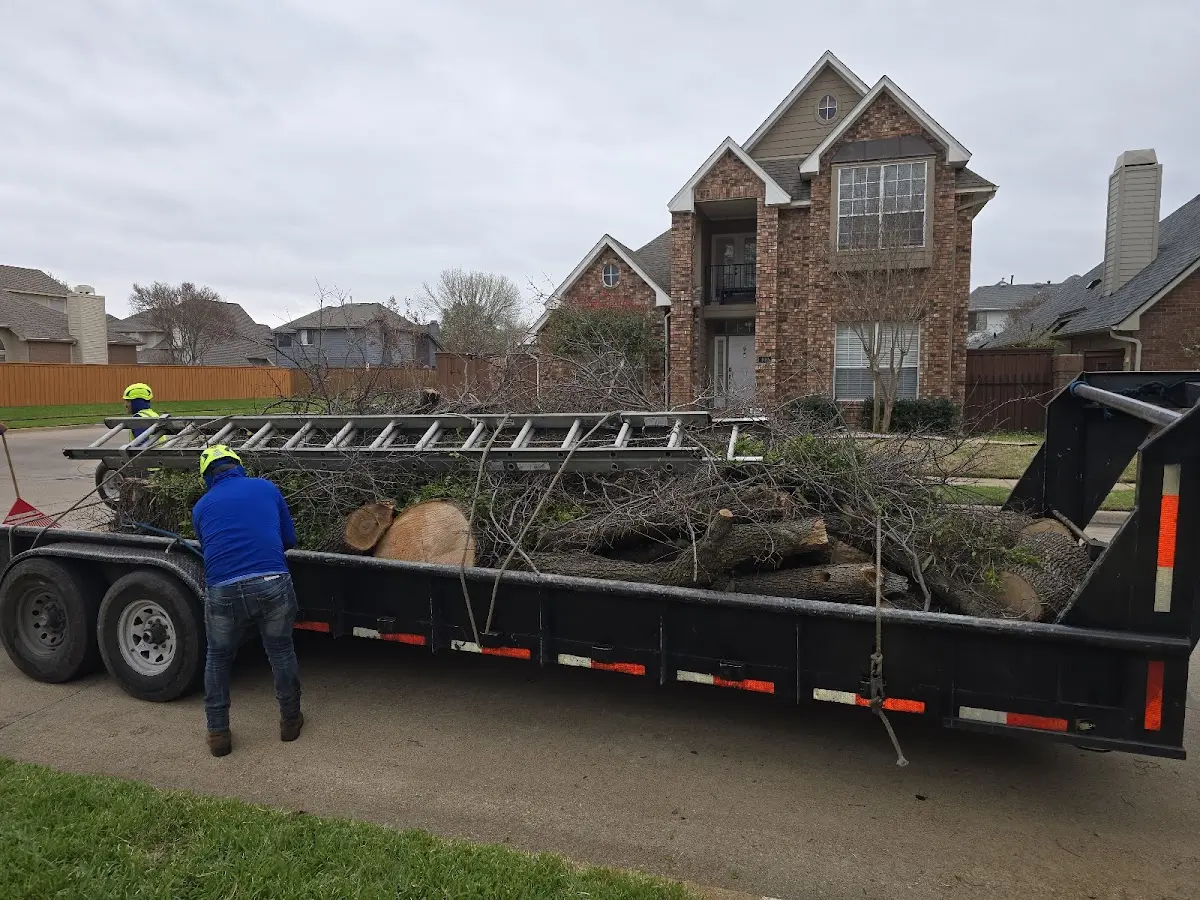 Expert Lot Clearing with proper safety equipment in Pullman